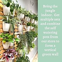 Vista 3 de ShopLaLa Wooden Wall Planter - 2 Pack Wall Hanging Planters for Indoor Plants Ladder Wall Mount Natural Wood Holder Flower Pots Vertical Living
