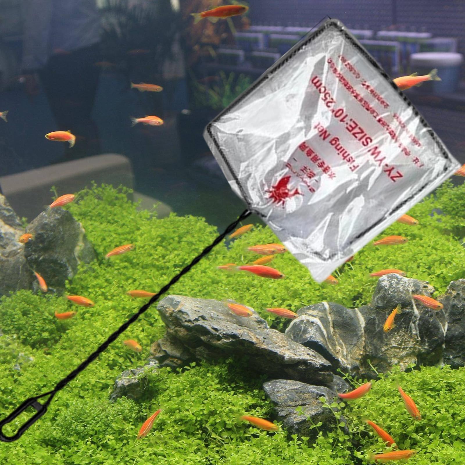 PANGBOER Paquete De 10 Cucharas Limpieza Fina Profesionales para Acuarios Red Peces Varias Ocasiones Hogar Y Oficina Red Pesca Peceras