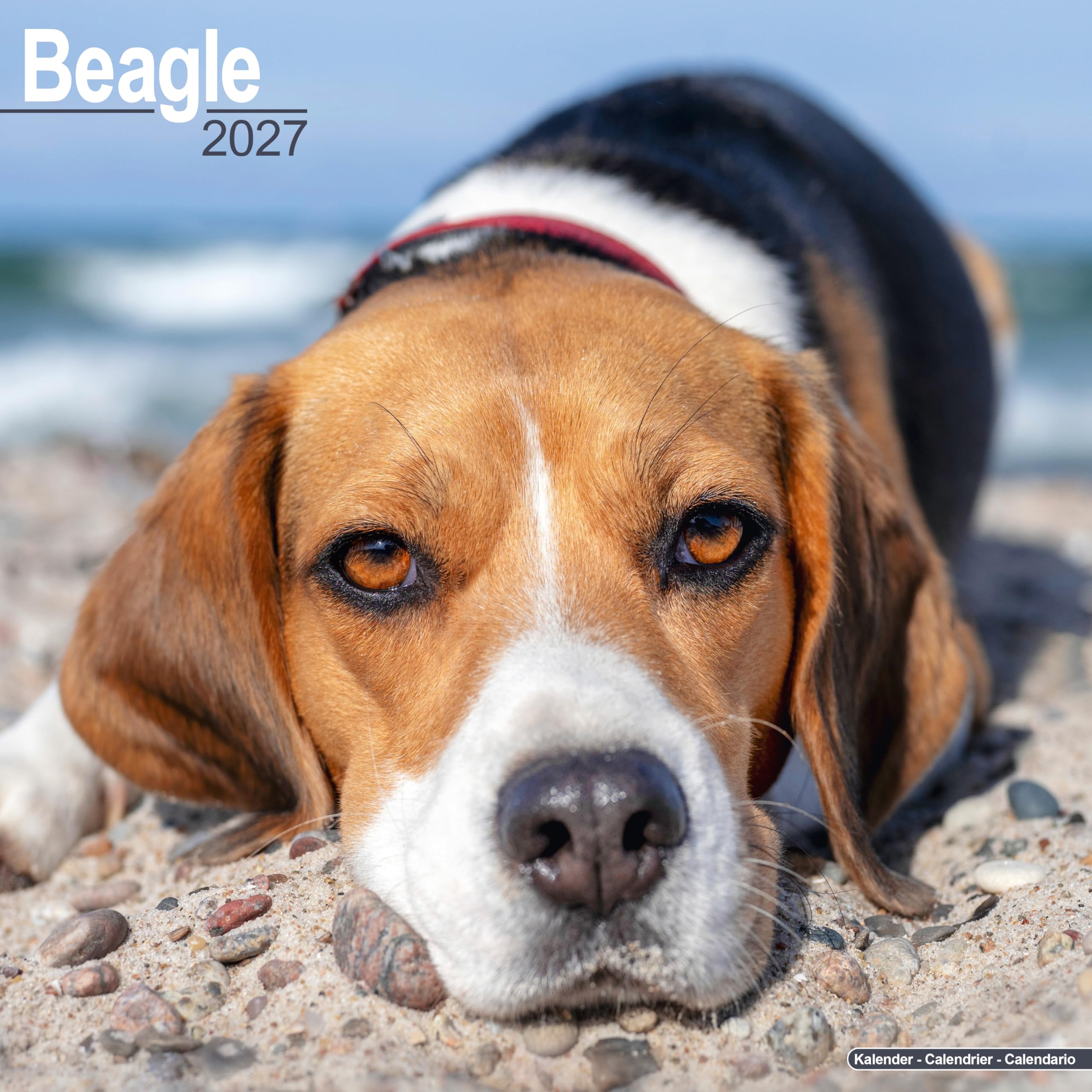 Beagle Calendar 2027
