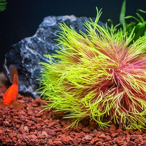 Miniatura 3 de TAOMYPETS Decoraciones de peceras para acuario, decoración artificial de plástico (rosa amarillo)