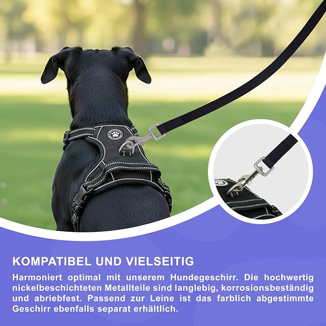 Foto 5 de 8 de Reichstadt Pets Correa PVC Perros Repelente Agua Black 5m