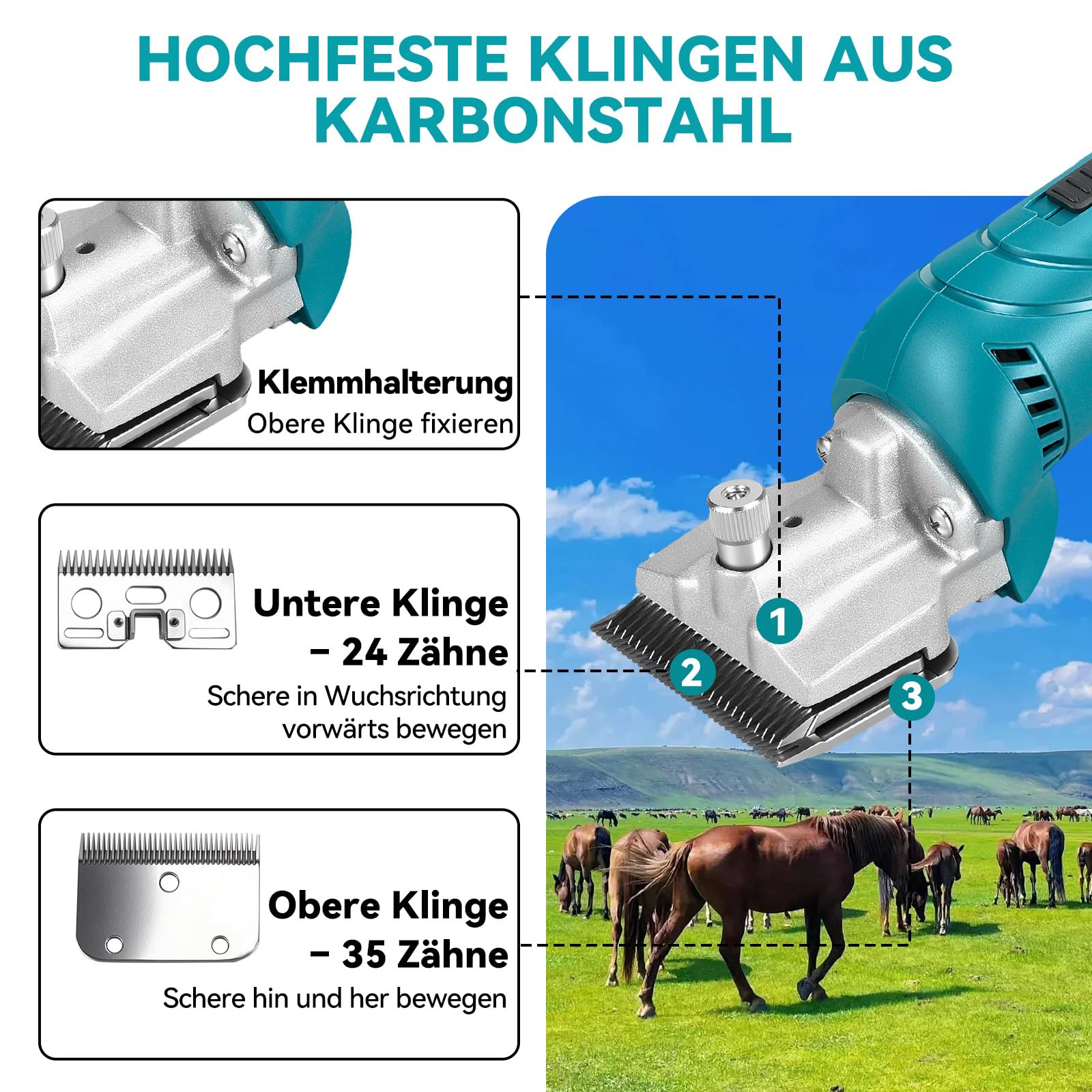 Yofidra Tondeuse à Chevaux Sans Fil, 600W, 2800 tr/min, avec 2 Batteries 3000 mAh, 6 Vitesses, Tondeuse Professionnelle pour Chevaux Épais et Emmêlés