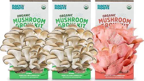 Back to the Roots Organic Mushroom Grow Kit 3-Pack: Oyster,