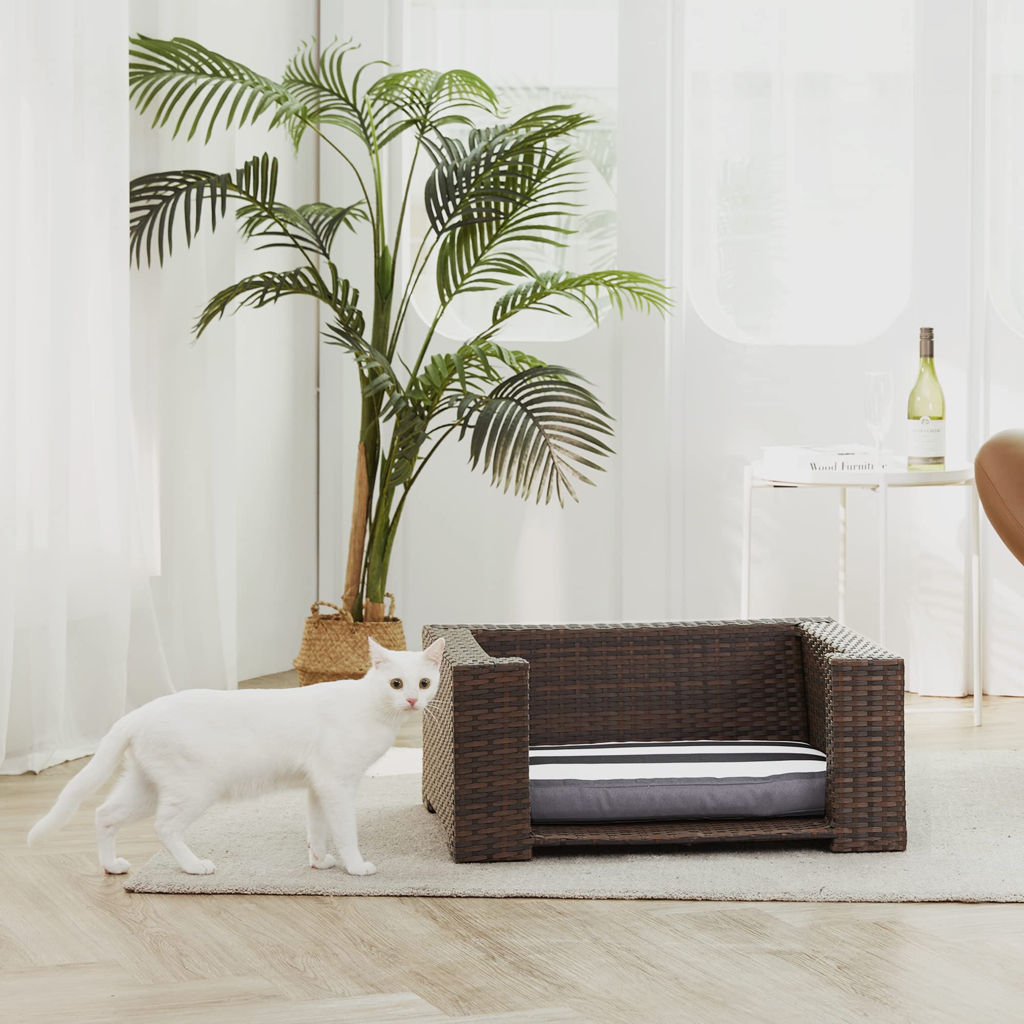 Teamson Pets Clotho Cama para Mascotas De Ratán para Interiores Y Exteriores, Sofá para Gatos o Perros Pequeños con Cojín Lavable Extraíble Marrón ST-N10005-UK | Tumbona elevada, cojín extraíble lavable, marrón, ST-N10005-UK