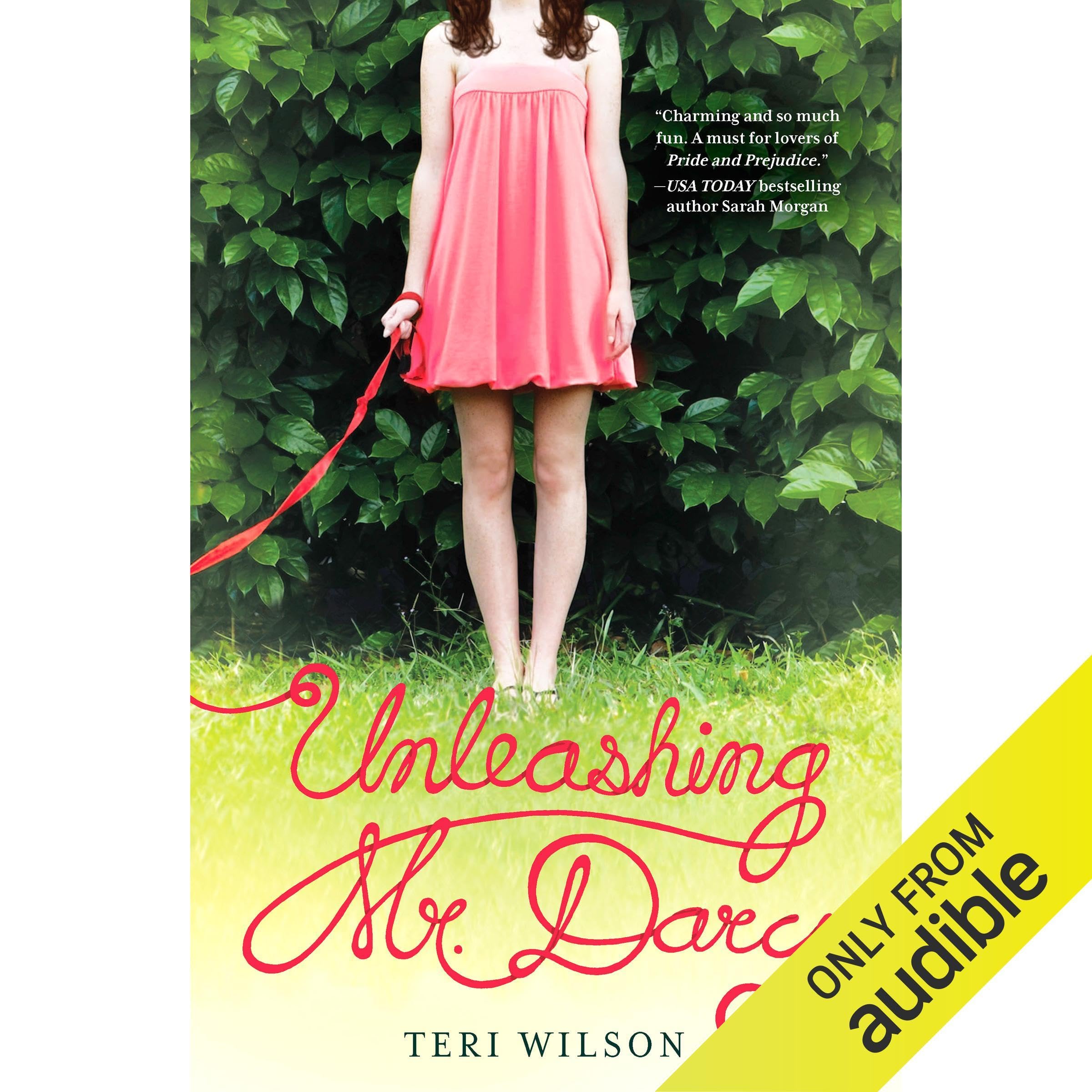 Cover art for Unleashing Mr. Darcy
