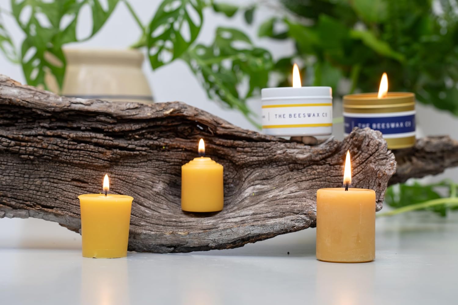 The Beeswax Co Jumbo Votive Beeswax Candles - Natural Honey Scented - for Home - Long-Lasting & Eco-Friendly - Cotton Wick - Slow Burning - Hand Poured Pure Organic Bees Wax - Set of 12 Votives