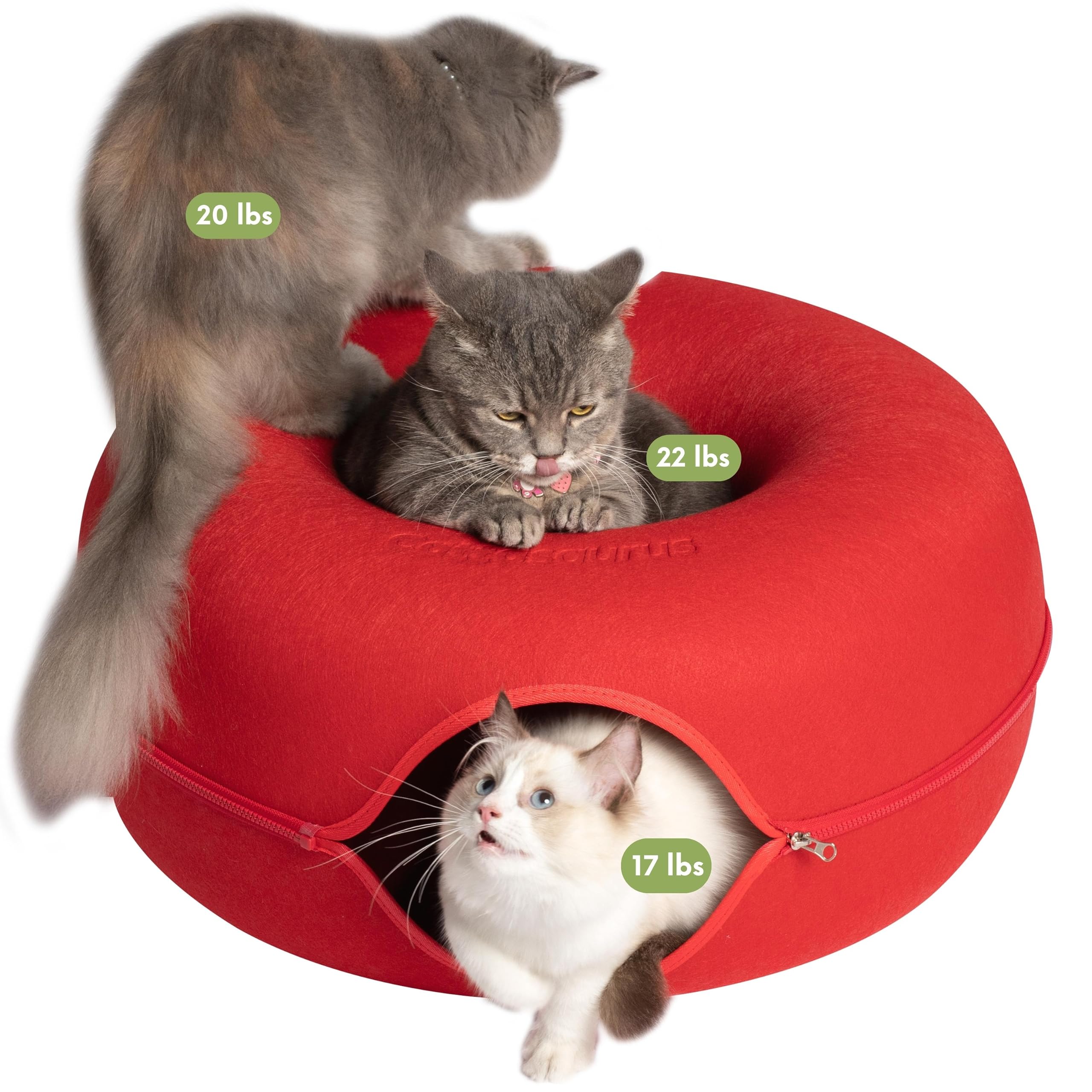 CATTASAURUS Peekaboo Cueva para gatos para múltiples gatos y gatos grandes, para gatos de hasta 30 libras, cuevas para gatos de interior, cama de túnel para gatos, cama de túnel para gatos, cama