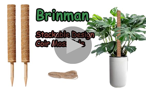 Amazon.com : 4-Pack 17 Inch Stackable Moss Poles for