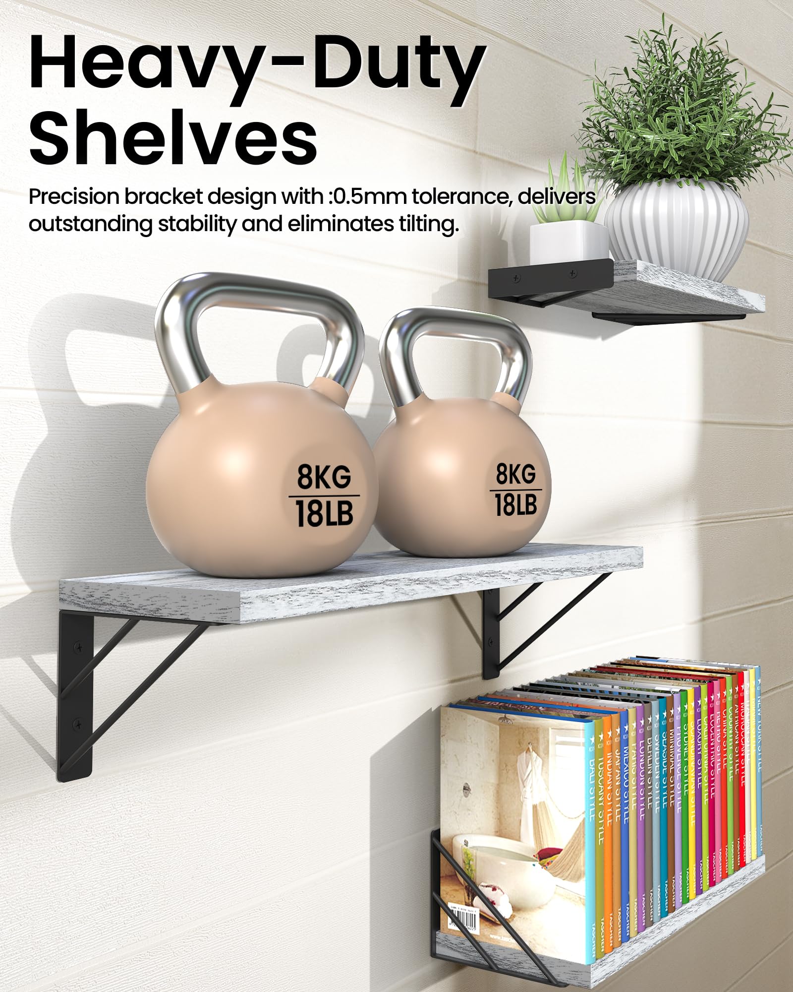 https://m.media-amazon.com/images/I/81FmWMOr+0L.jpg