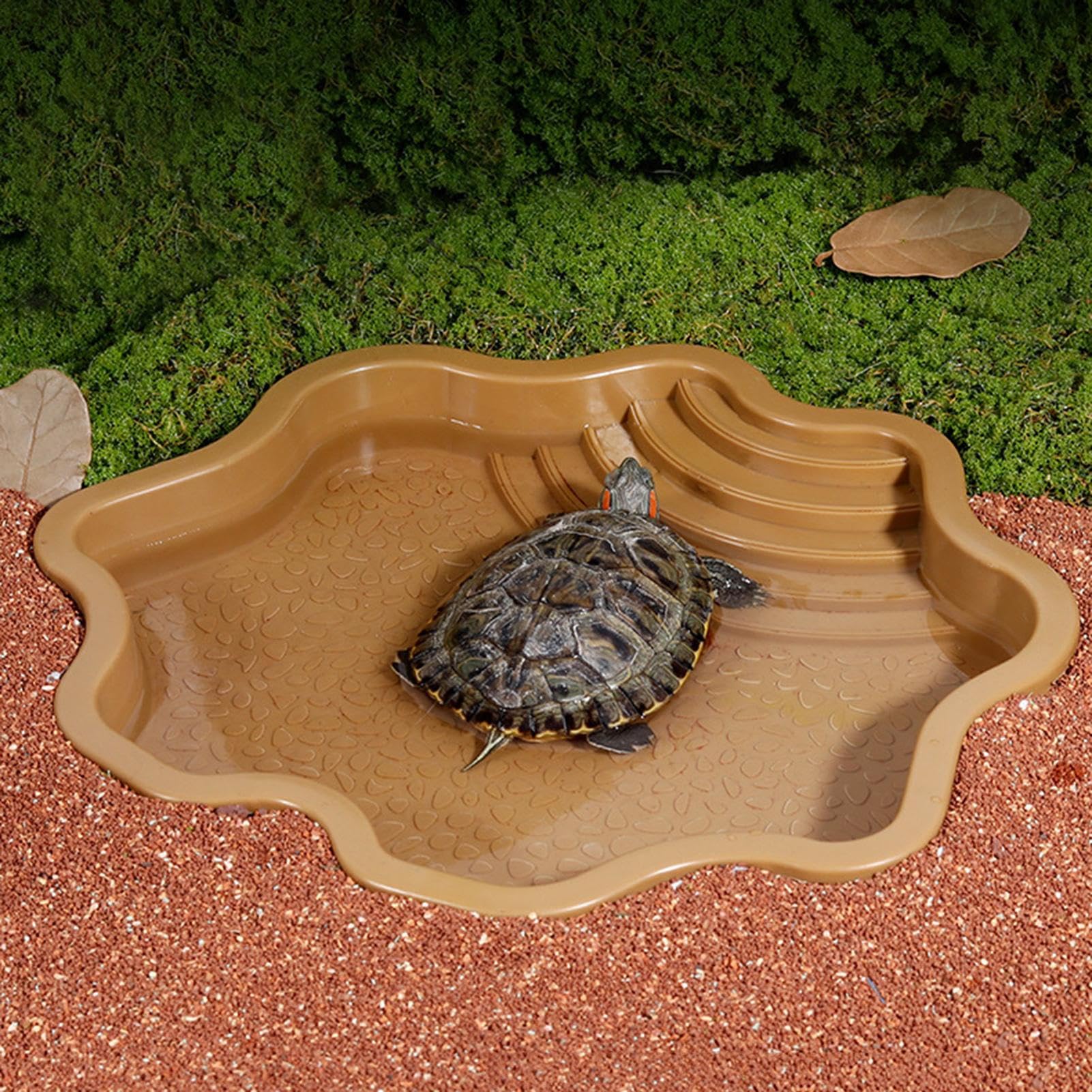Schildkröten Wasserschale Mit Rampe - Großer Reptilien Futternapf 31x25cm