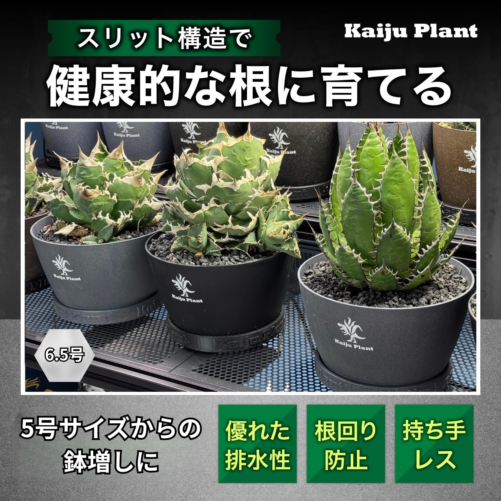 Amazon.co.jp: Kaiju Plant 怪獣ポットEco6.5 スリット鉢 6.5号 麦わら