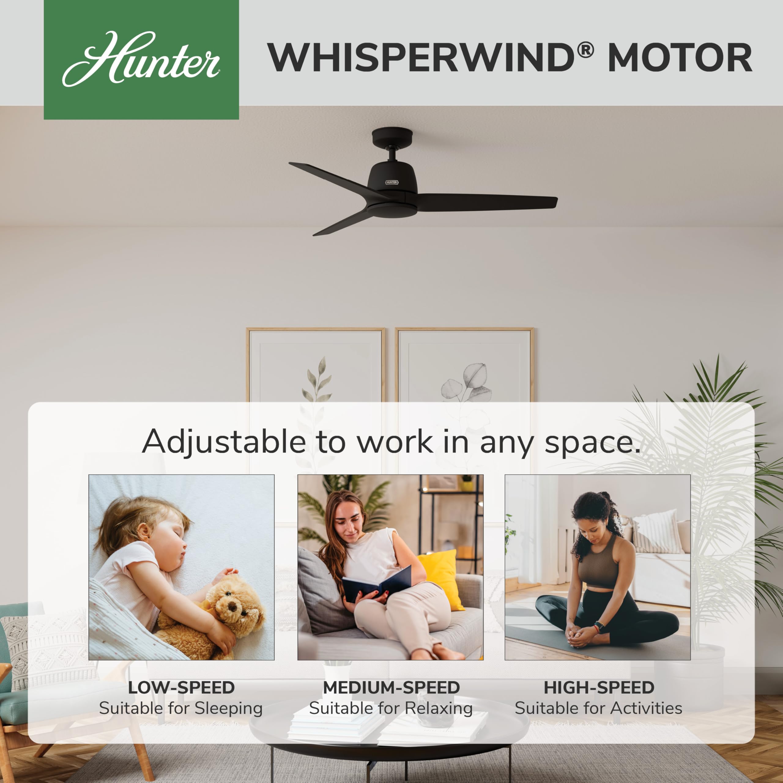 Hunter 52 inch Indoor Ceiling Fan No Light with Remote Control