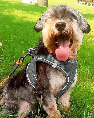 Vista 16 de Joytale arnés para perro, 12 colores, chaleco de malla transpirable, arnés acolchado suave reflectante para perros medianos, negro, XL.