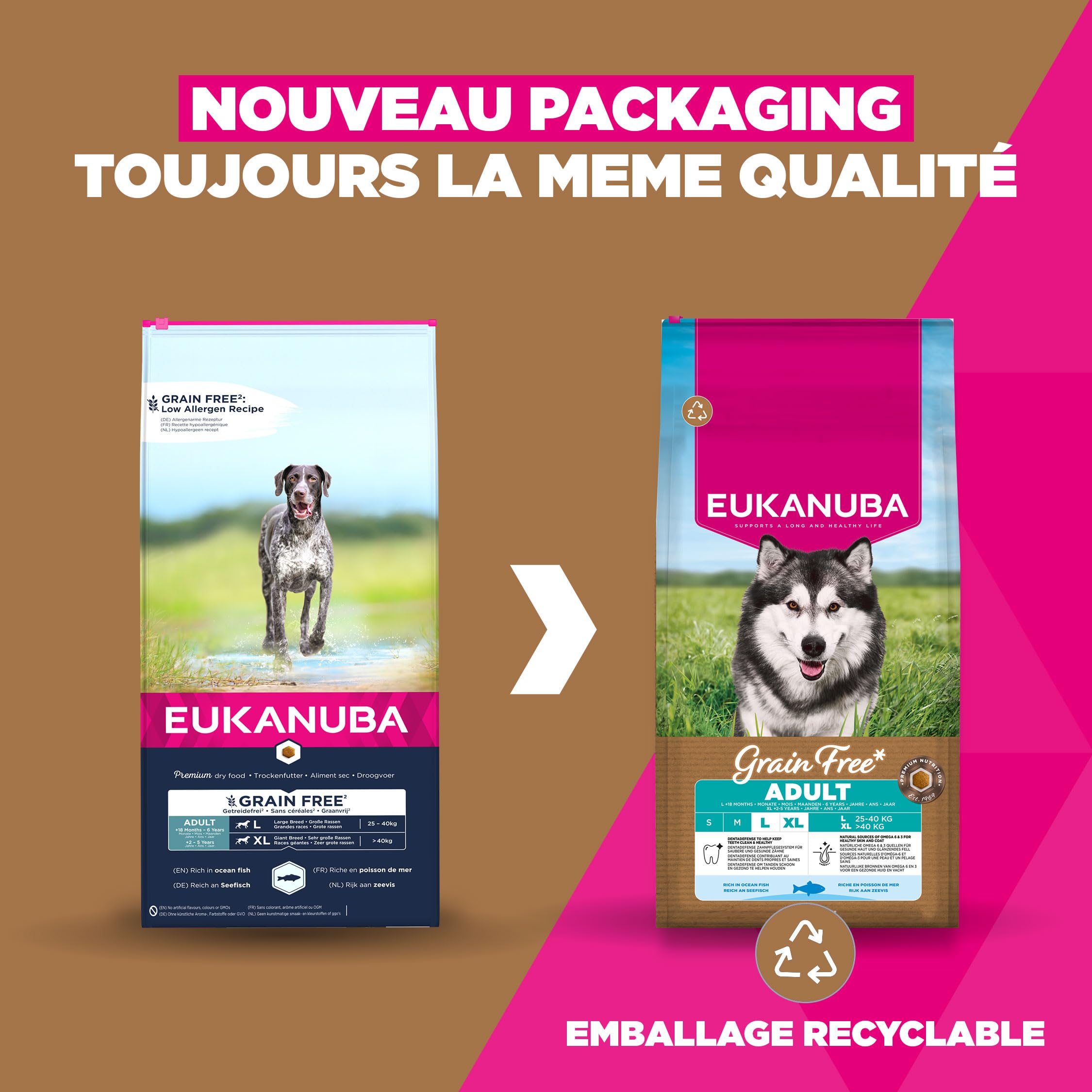 EUKANUBA Chien Adulte Grande Race sans Céréales Poisson 12 kg