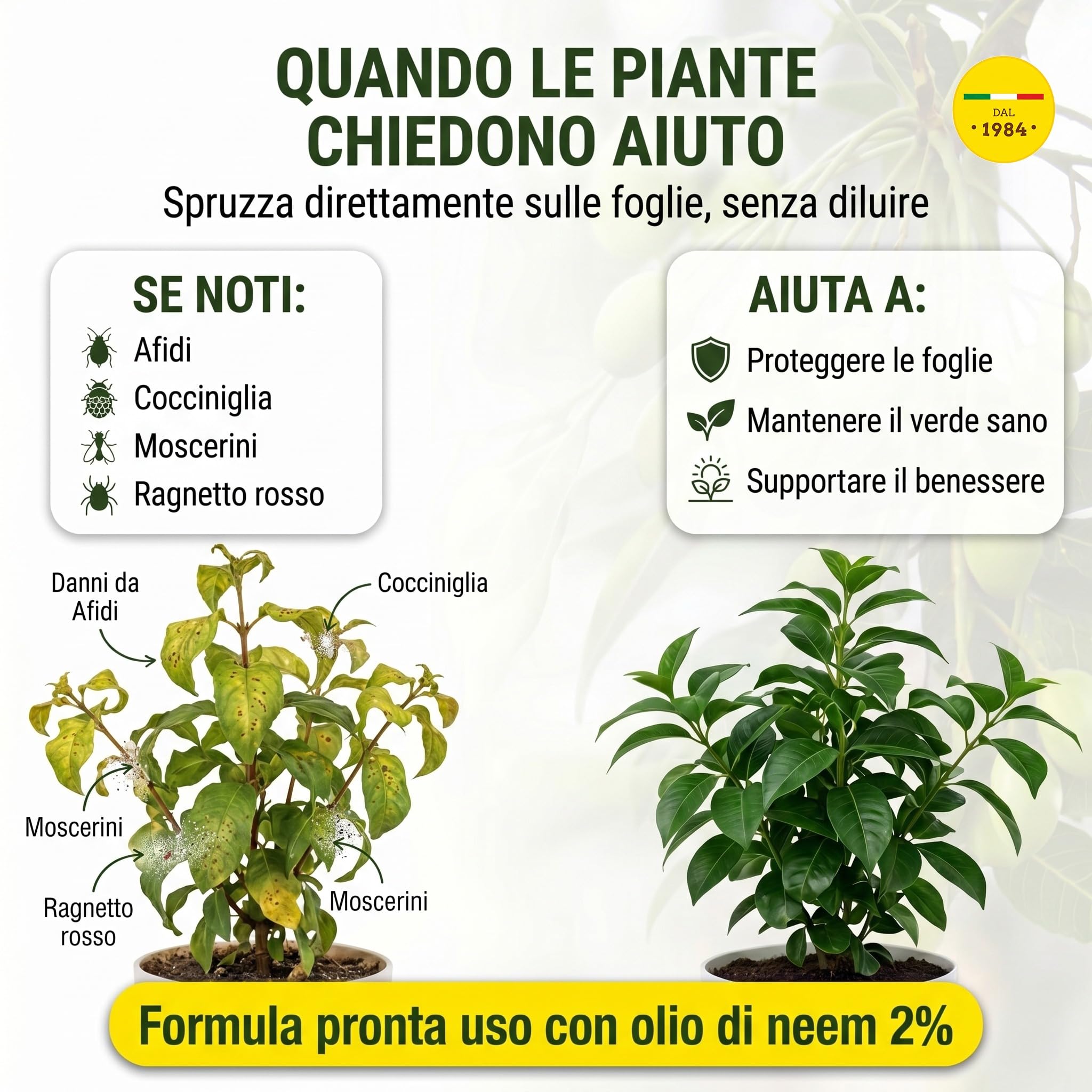 i consigli dell'esperto Los Consejos del Experto Aceite de Neem, 3L