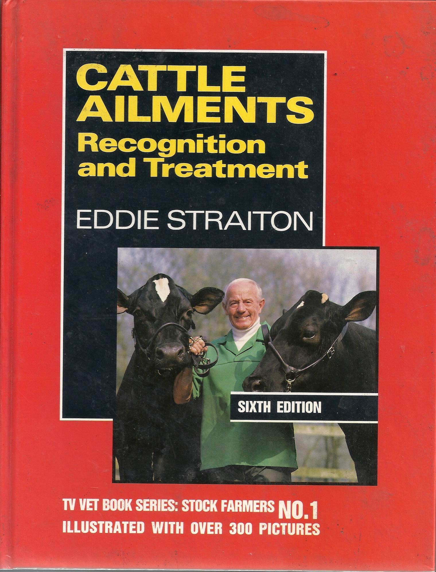 Cattle Ailments: Recognition and Treatment