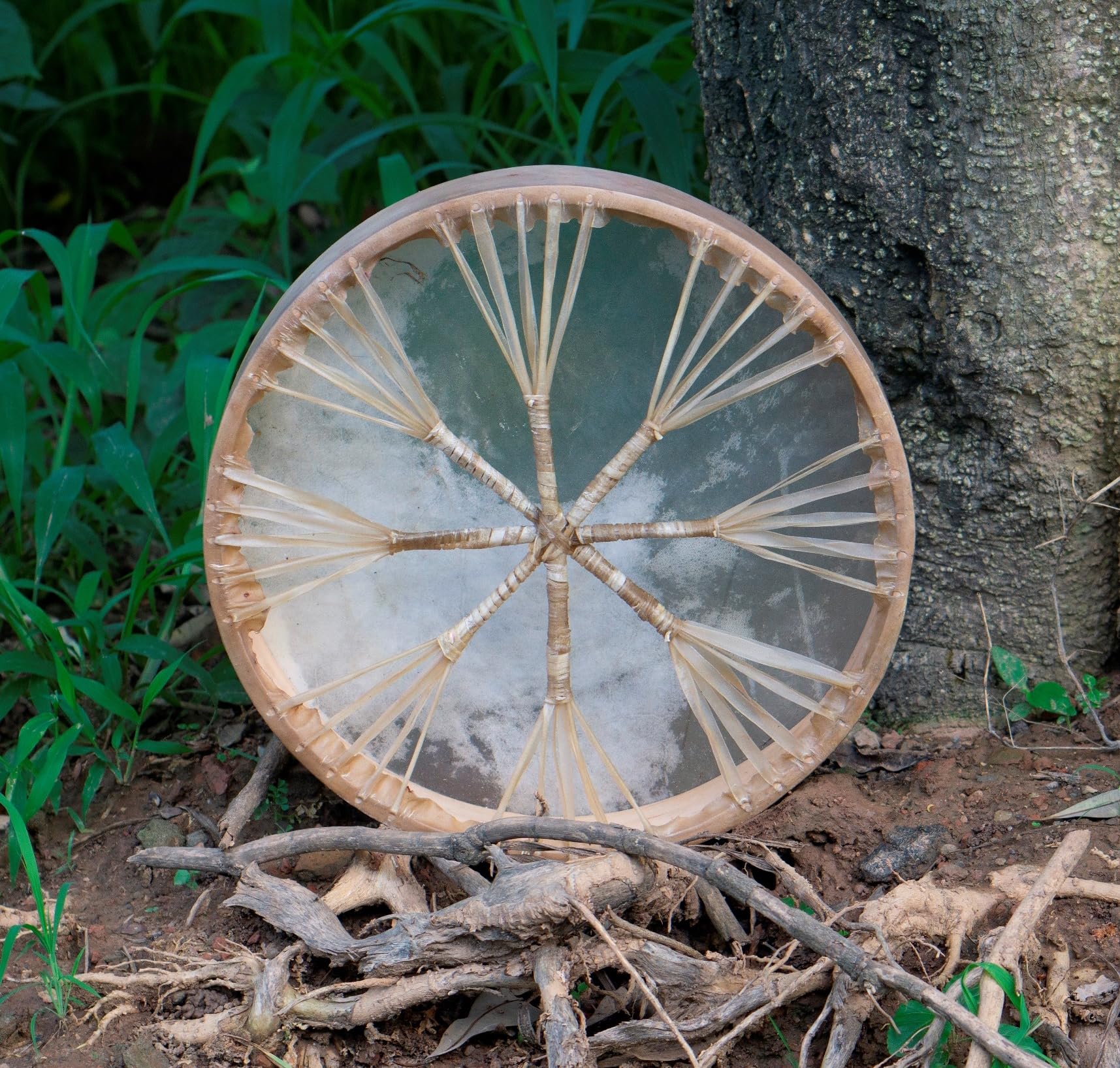 ARAW American Shamanic Native Drum Bison Natural Hide (18 Inches Diameter X 3 Inches Depth)