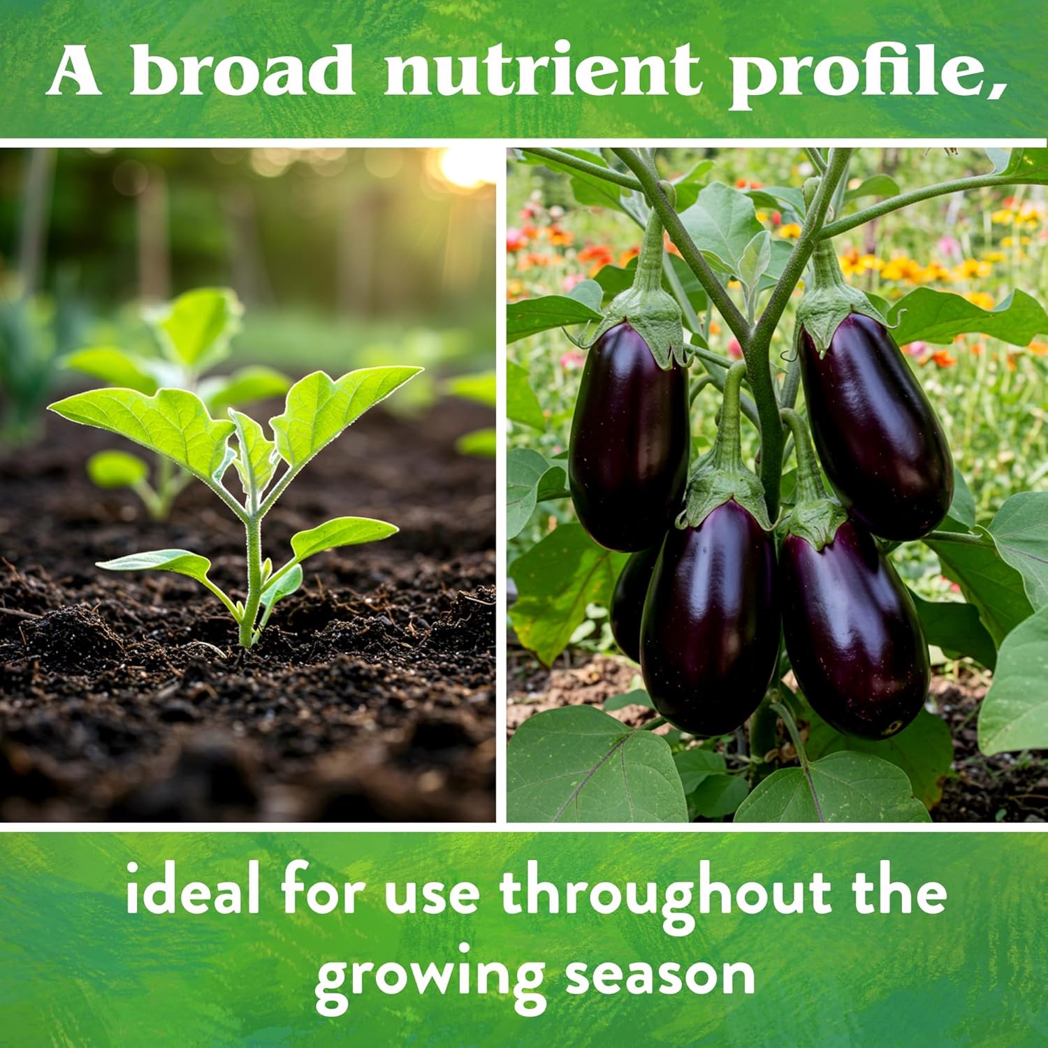 Down To Earth All Natural Fertilizers Organic Vegetable Garden - Plant Food for Vegetables, Herbs, Greens and Raised Beds 4-4-4, 25 lb