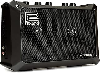 Roland Mobile Cube Battery Stereo Amplifier