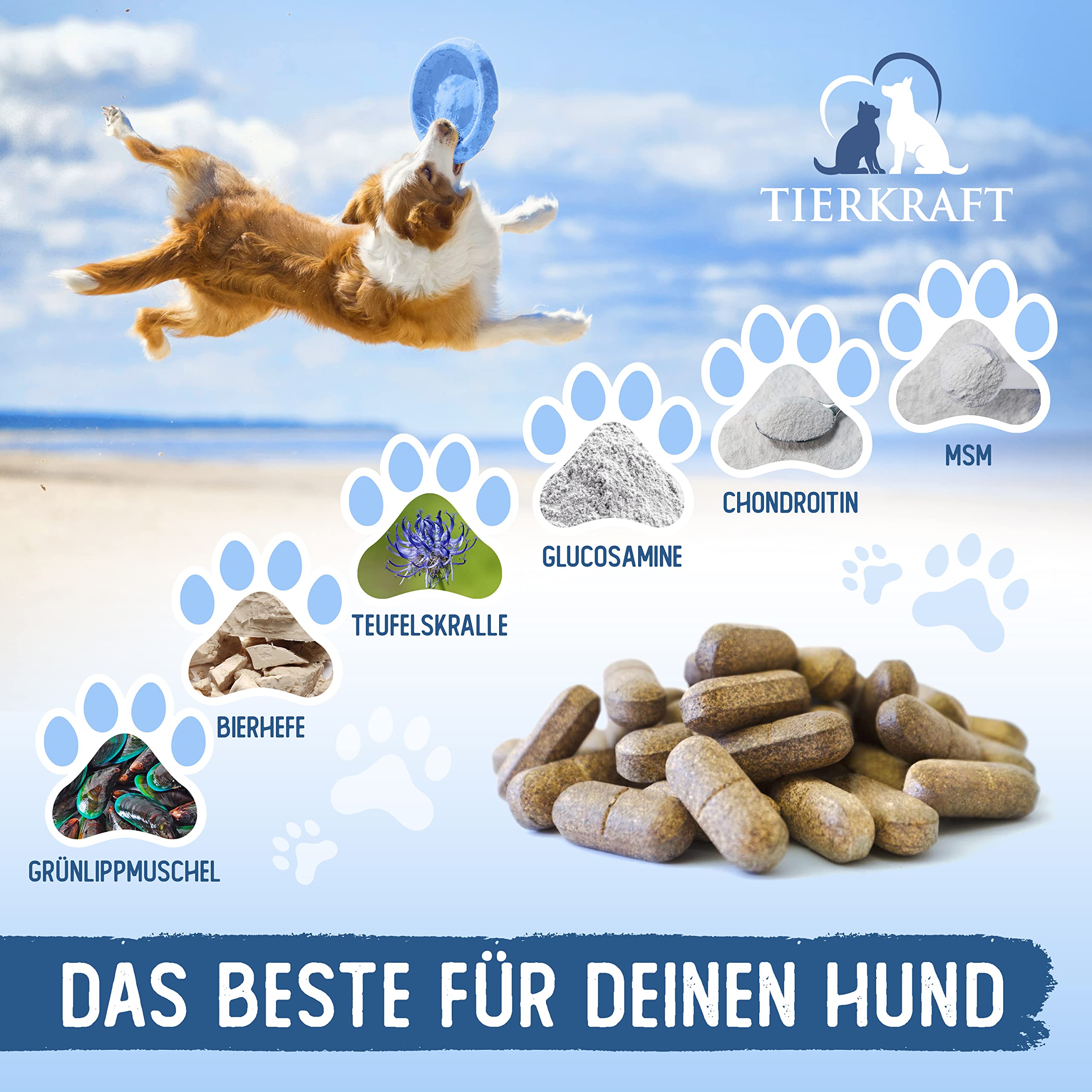 Tierkraft Gelenktabletten für Hunde - Made in Germany - Gelenktabletten mit Grünlippmuschel - Teufelskralle - MSM - 100 Gelenk- & Knochenschutz Tabletten