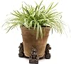 Potty Feet Koala Bear Figures Plant Pot Feet - Planter Support - Handmade Decorative Ornaments - 3pcs