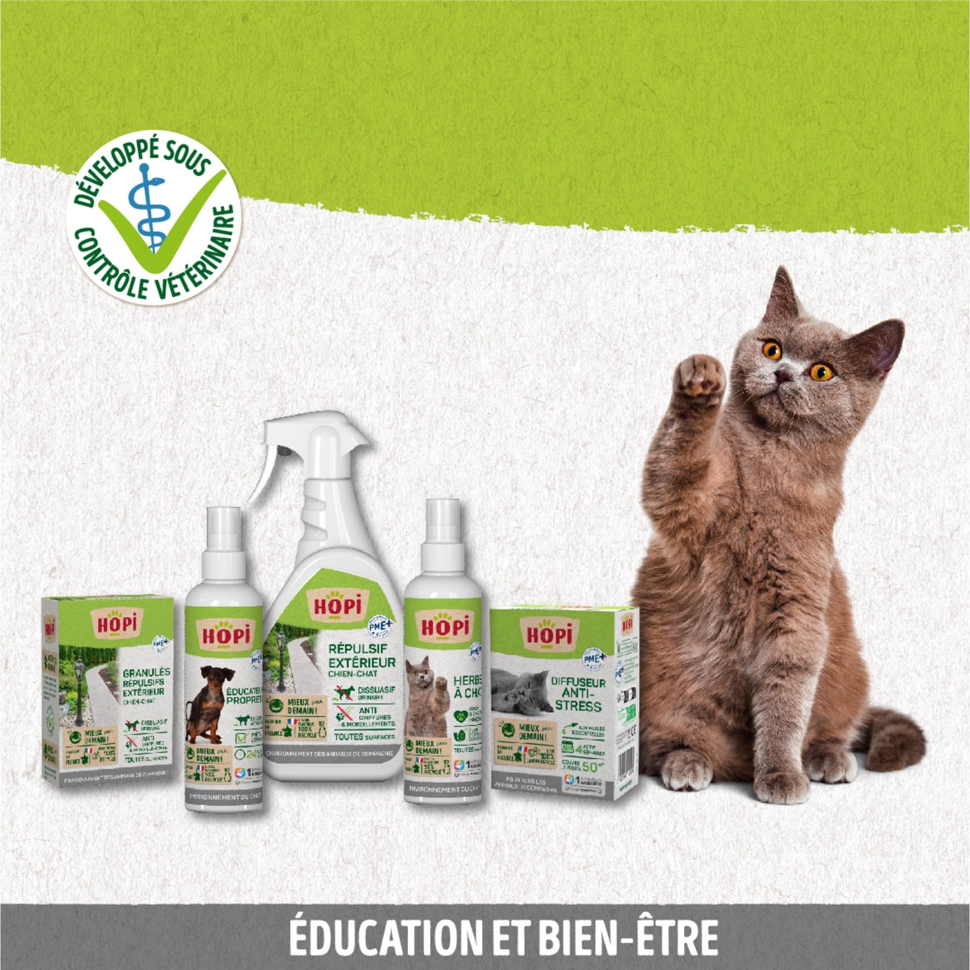 HOPI Spray herbe à Chat 200 ml - Extraits de Plantes - Stimule le Bien Être à la Maison ou dans un nouveau Lieu - Facile à transporter - Convient à tous types de supports - Fabriqué en France