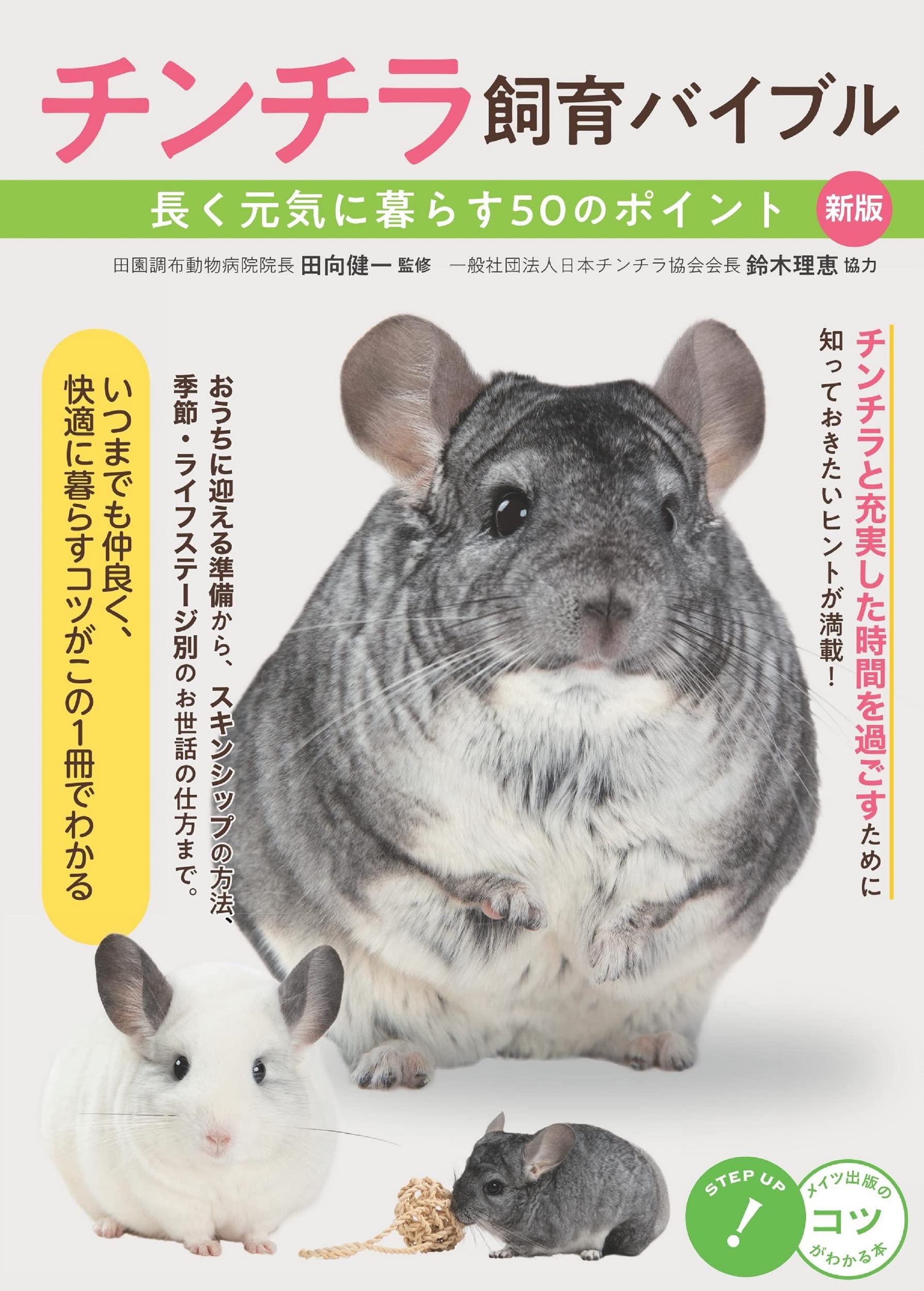 は*な様 チンチラ　飼育　用品　写真で確認して下さい チンチラ（ノーマルグレー）新しく仲間入りです。 2024.2月