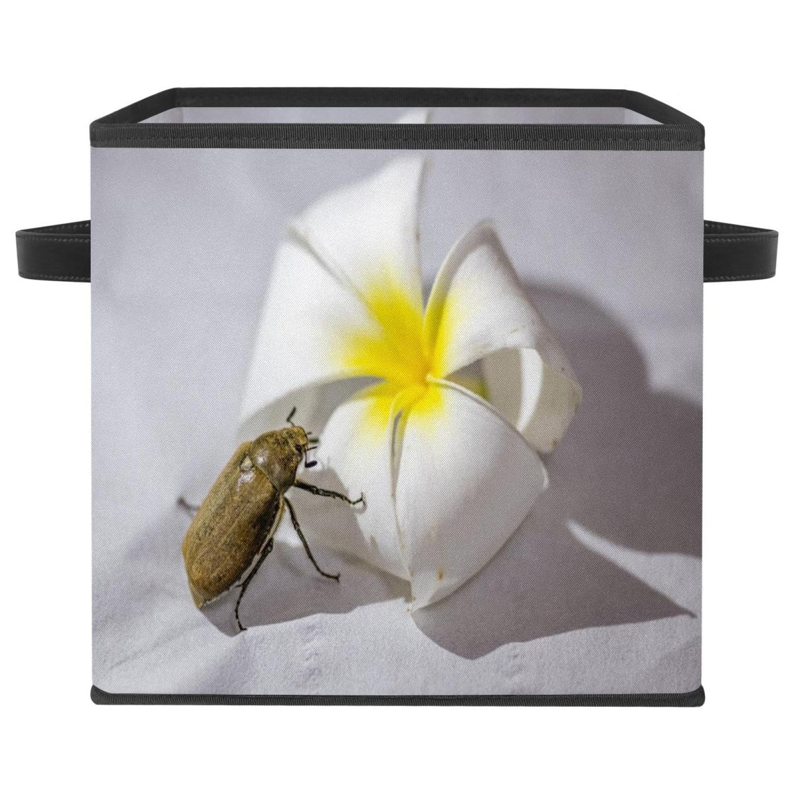 Boîte de rangement cube en tissu pliable Beetle pour placard ordonné sans désordre