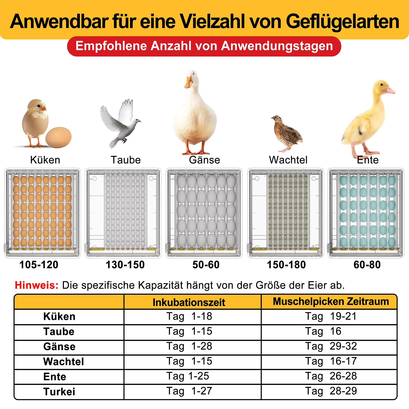 Brutautomat Vollautomatisch Brutmaschine Vollautomatisch Inkubator Hühner für 120 Eier, Brutkasten mit Automatischem Eierdrehen und Anzeige der Luftfeuchtigkeit