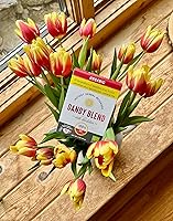 Vista 4 de 20 porciones individuales orgánicas de polvo de bebida herbal instantánea orgánica Dandy Blend con diente de león, caja de 2 oz