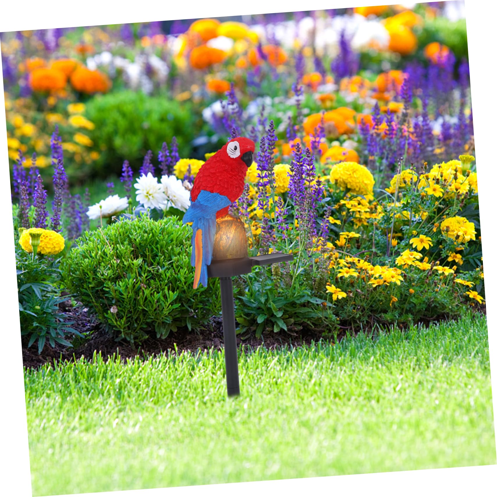 ソーラー オウム 芝生 ライト Amazon.co.jp: CRILSTYLEO 2個ソーラー パロット プ 園装飾用