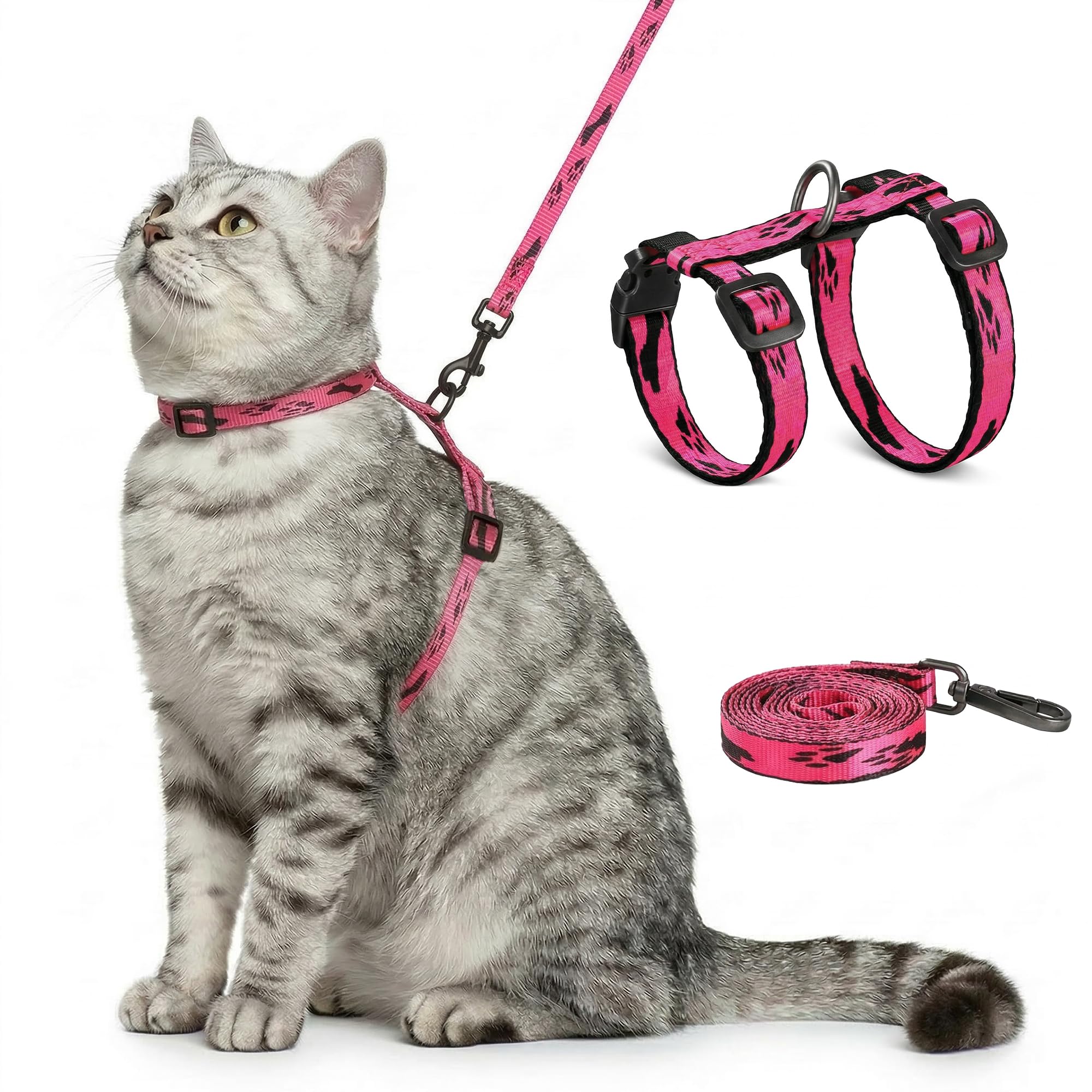 Harnais chat anti-fugue pour promener votre compagnon en douceur