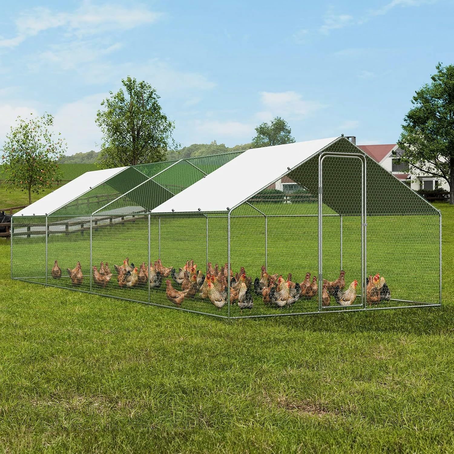 Très Grand Poulailler Extérieur 24 m² en Métal Galvanisé avec Toiture PE Imperméable et Porte Sécurisée – Enclos Grillagé pour Poules, Lapins, Chiens et Divers Animaux – 8 x 3 x 2 m