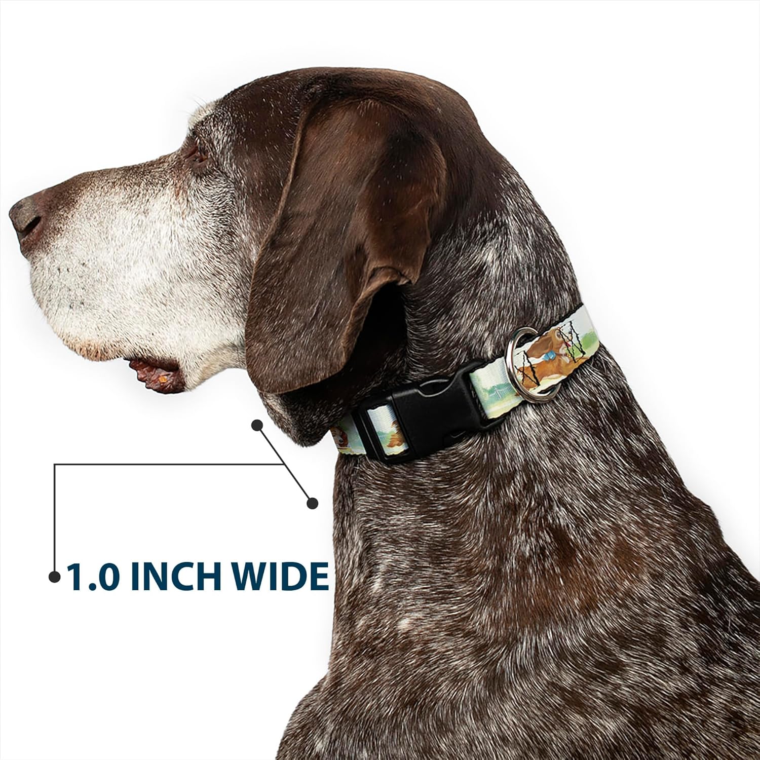 Buckle-Down PC-WDY376-WL Plastic Clip Collar-Lady 3-Scene Poses, 1.5" W-18-32" Neck-Large