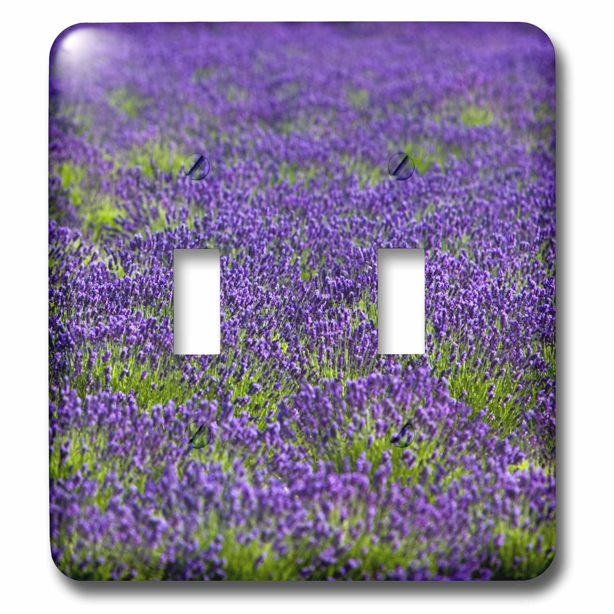 Interrupteur double France Provence interrupteur bascule lavande Drome