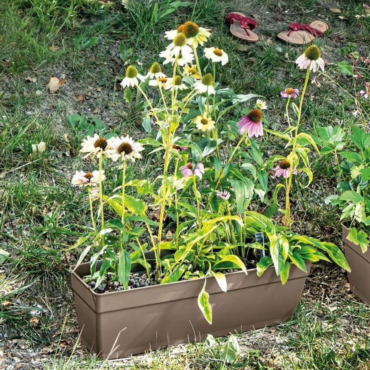 Deroma Jardiniere avec Reserve d'eau Ninfea R Camel - 60 cm
