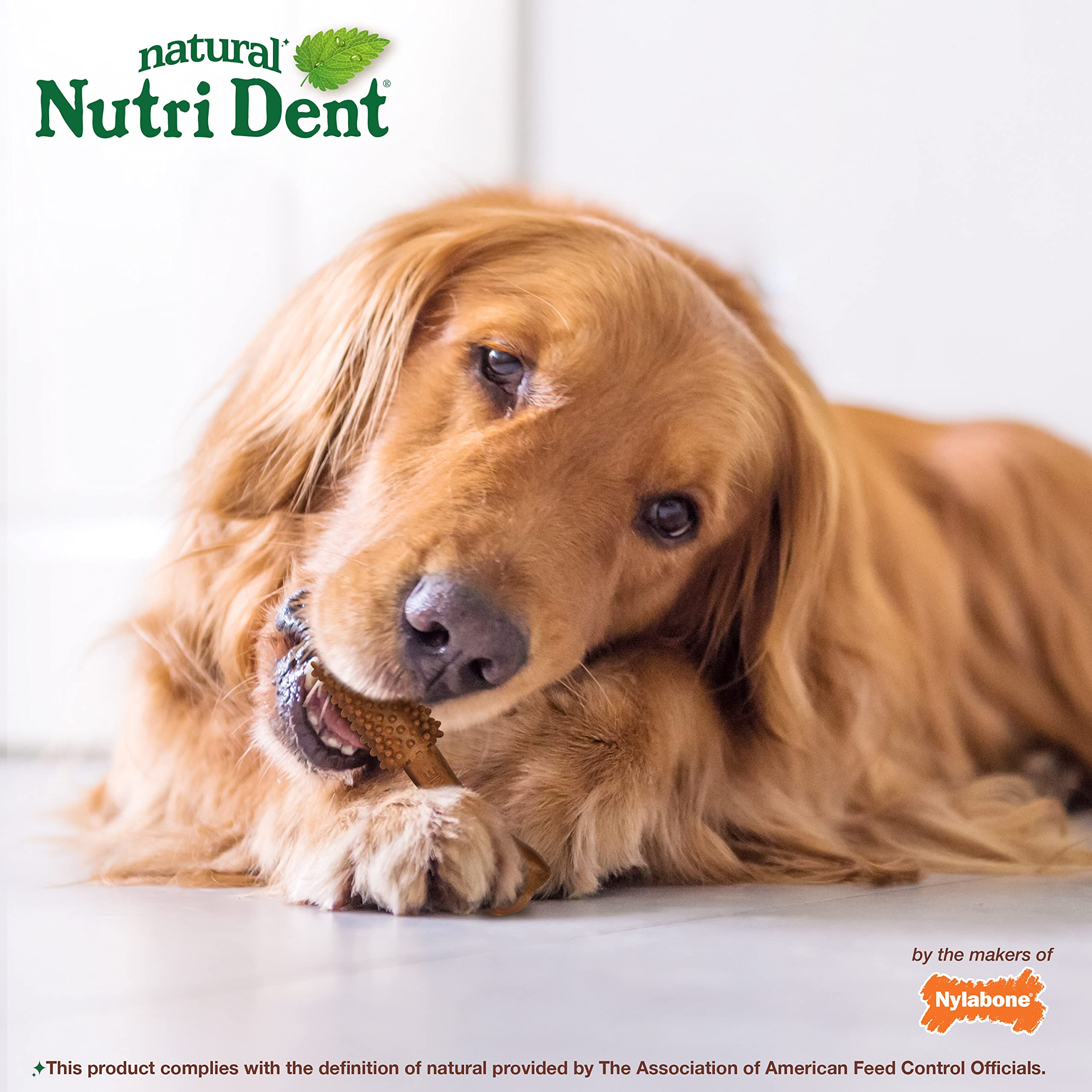 Nutri Dent Limited Zutat Zahnsticks Hund Dental Dog Chews - Large Size - Filet Mignon or Fresh Atem Aromen, 20 Ct, Filet Mignon