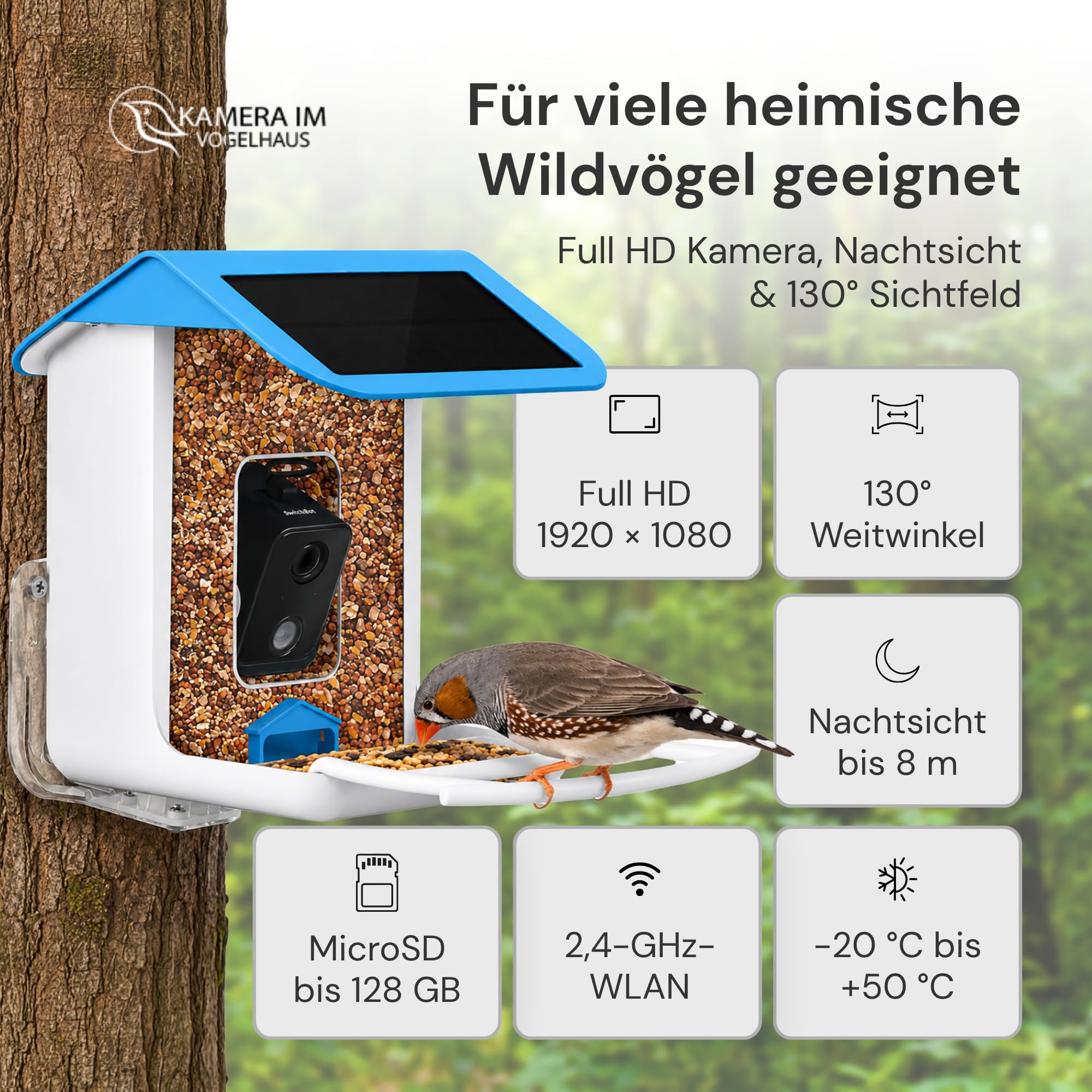 Smarter Vogelfutterspender mit WLAN-Kamera und Solar | Vogelhaus mit Kamera, Vogelfutterstation, Futterstationen für Wildvögel