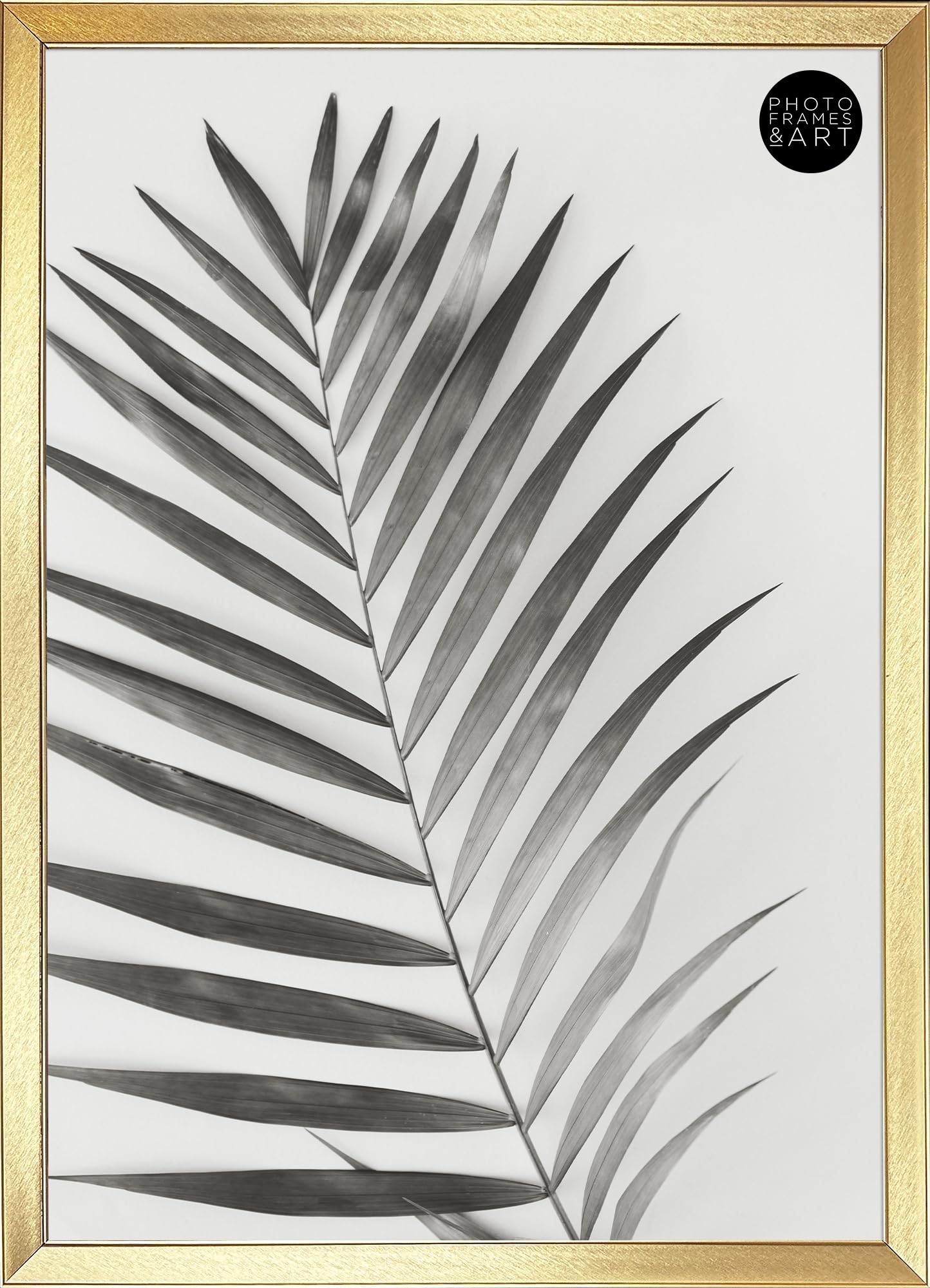 pf+a Perspex Window A2 Gold Poster Frame - A2 (59.4x42cm) Picture Frame / A2 Gold Frame