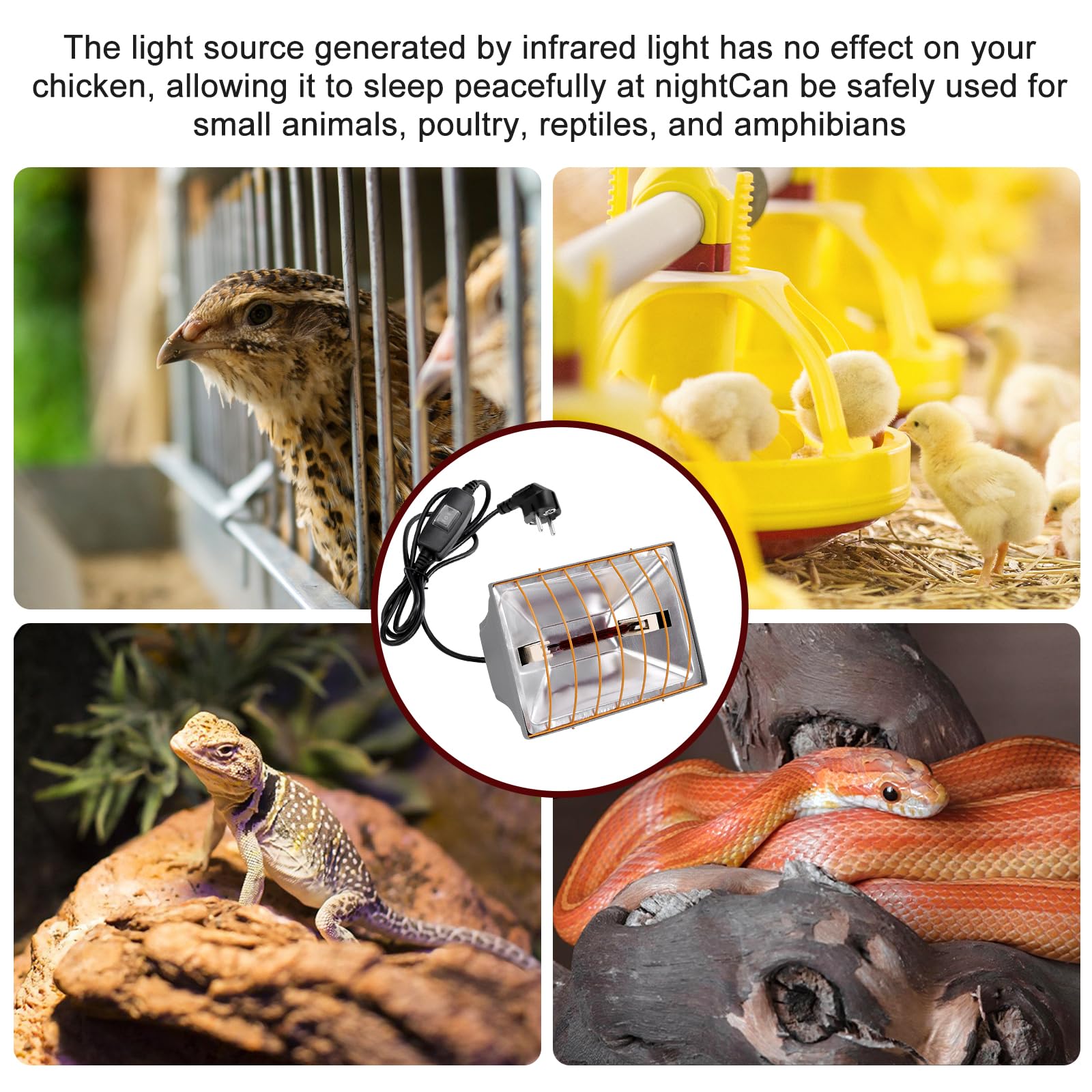 Lámpara de luz roja y lámpara de calor para pollitos, lámpara de calor para pollos, lámpara de luz roja y lámpara de calor para patos, calentador de 175W para gallinero, lámpara de calor para animales