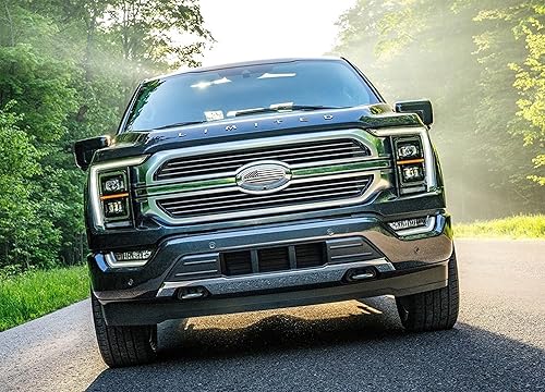 Miniatura 3 de CONGCONG Emblema de Ford de 9.5 pulgadas, Insignia Superpuesta de Parrilla Delantera y Portón Trasero, Emblema Ovalado de Aluminio Plateado con