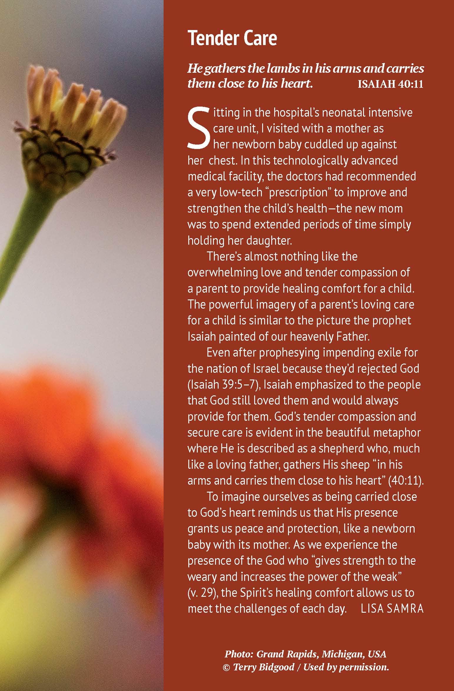 Our Daily Bread 2024 Agenda giornaliera