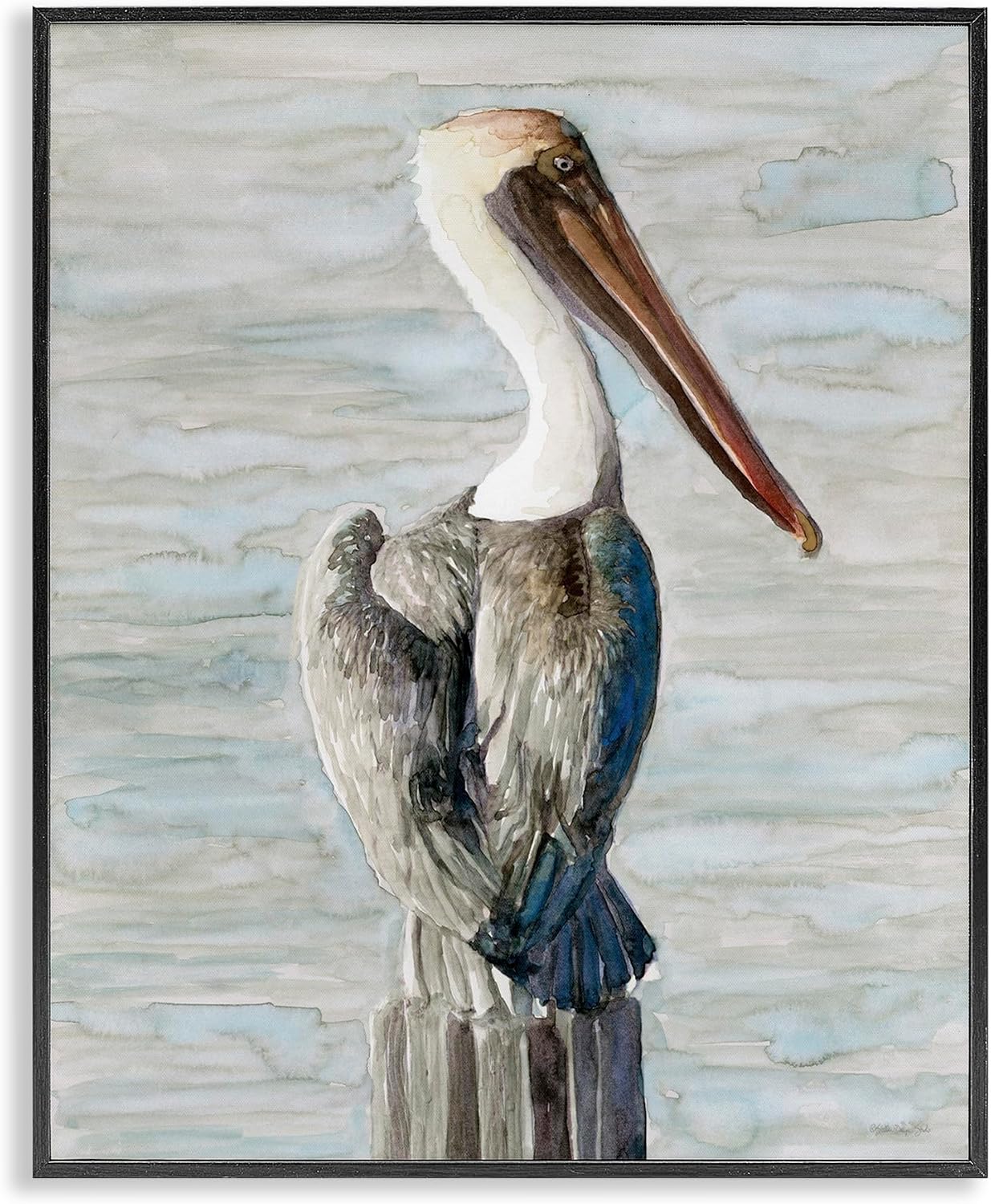 Stupell Industries Long Beak Pelican Watercolor Painting Coastal Waterfowl Bird, Design by Stellar Design Studio