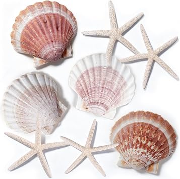 PPCLION 4 PCS Natural 4-5" Pinkling Scallop Shell and 4PCS 3" Finger Starfish for Crafts Making Beach Theme Party Wedding Decoration, Home Wall Decor, Christmas Ornaments