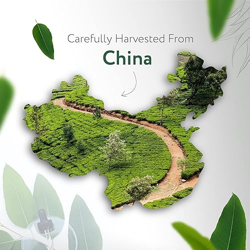 Miniatura 3 de HBNO California - Aceite esencial de eucalipto orgánico embotellado (Globulus)  4 onzas líquidas (4.1 fl oz)  Certificado orgánico por la USDA