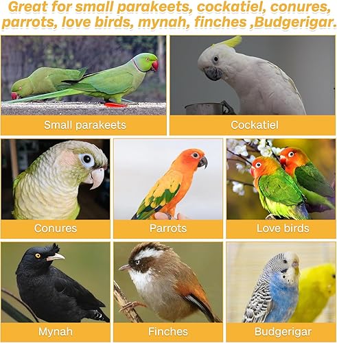 Miniatura 7 de PINVNBY Paquete de 2 juguetes para loros, juguete para masticar, pico de hueso de corte, jaula de piedra para colgar con campana para grises