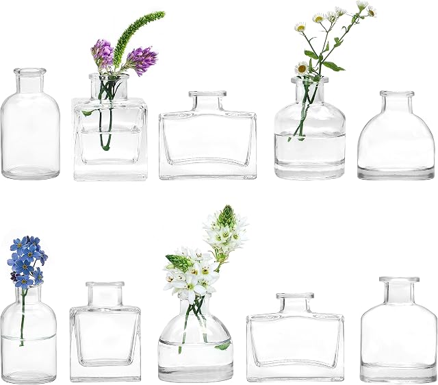 Winter Shore Small Glass Vases for Centrepieces [10 Pack] - Assorted Clear Vintage-Style Bud Vases for Flowers - Square, Rectangular, Round, Short, Tall Bottles for Home Decorations, Wedding Decor
