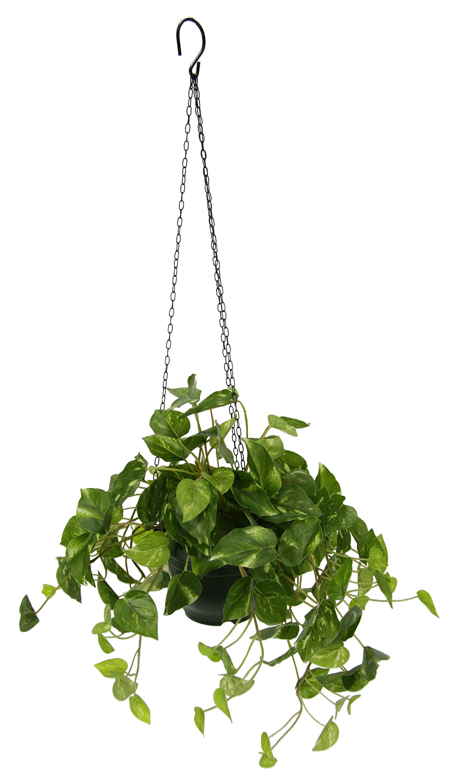 Flair Flower Planta Artificial de Interior con Fotos y Flores Artificiales.