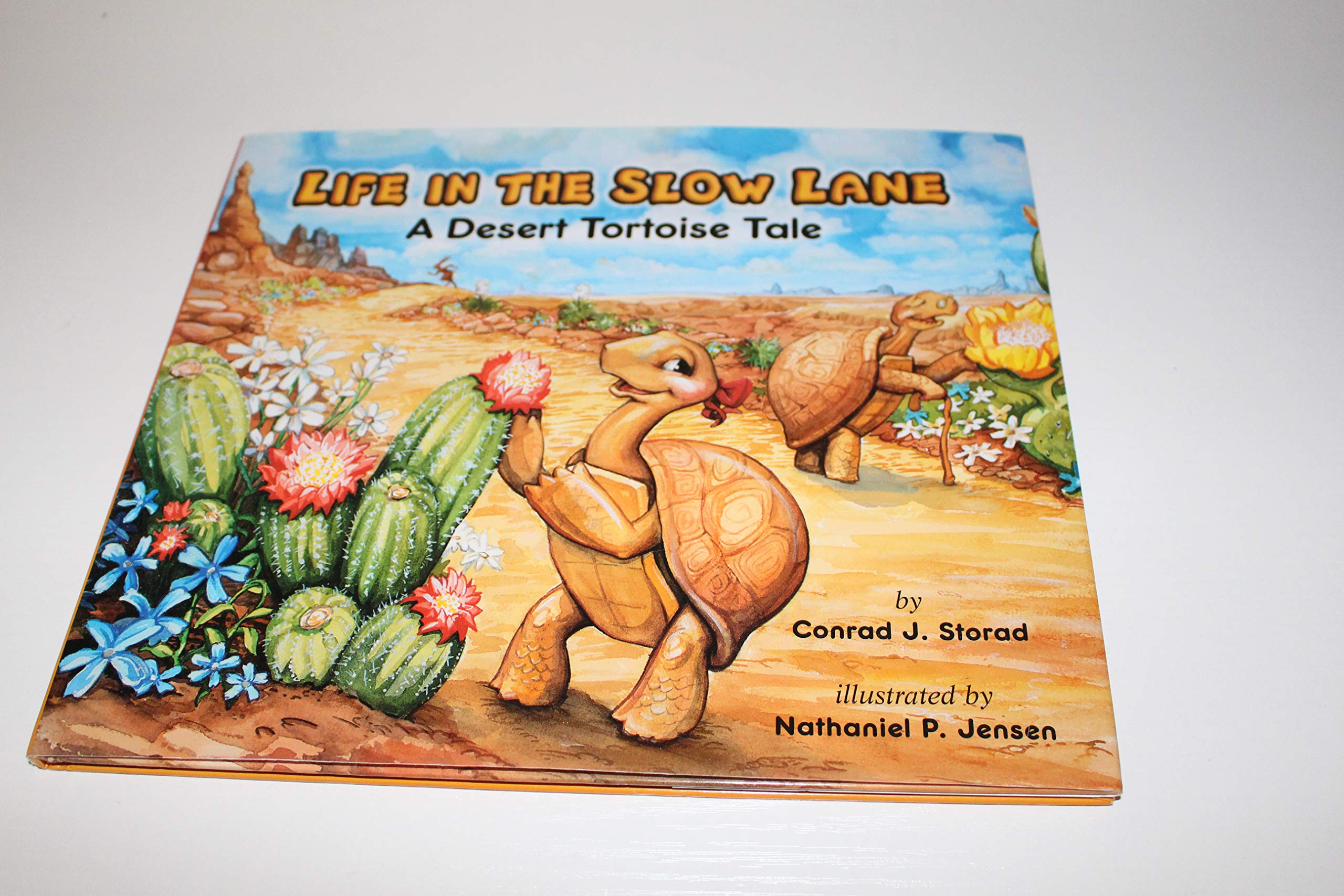 Cover of Life in the Slow Lane: A Desert Tortoise Tale