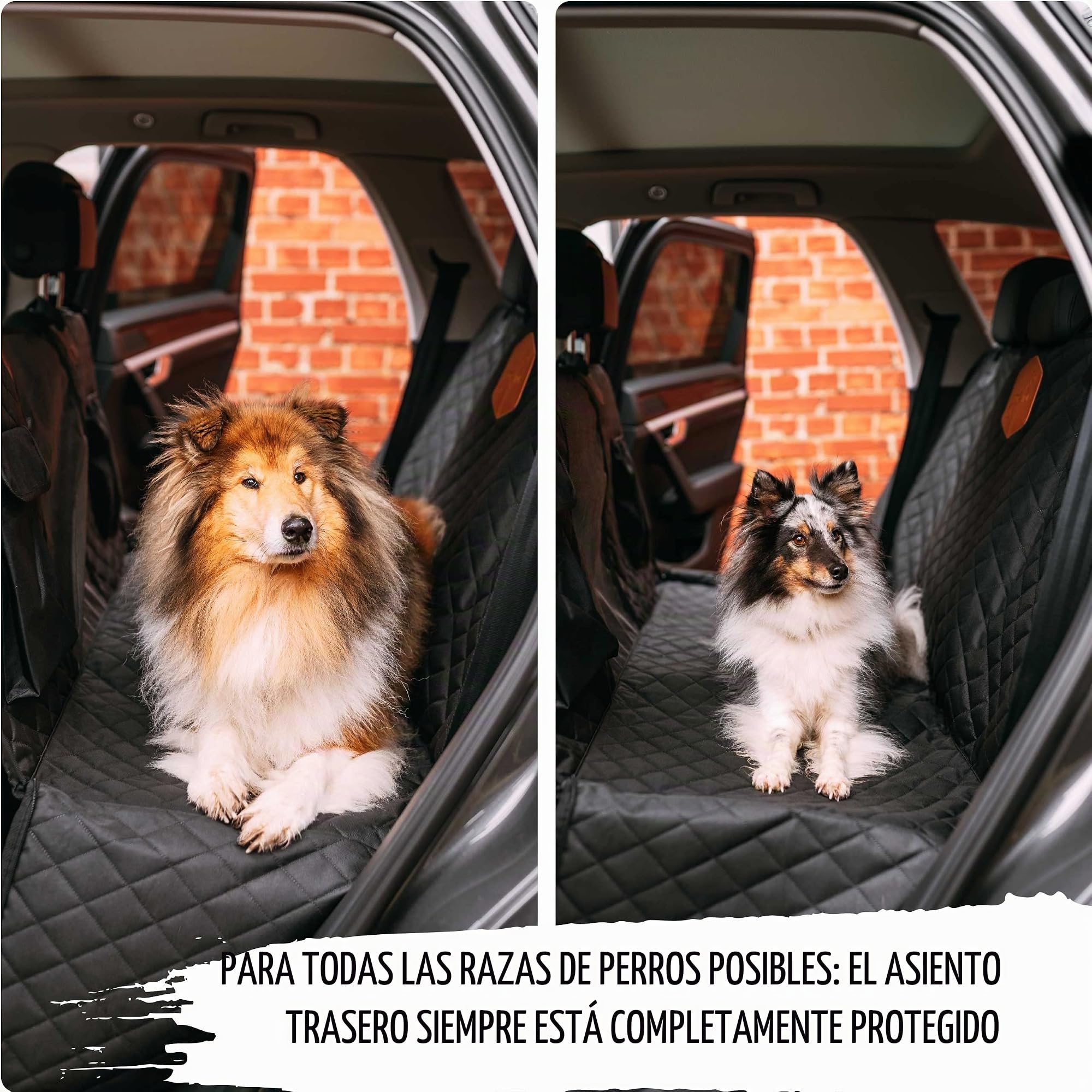 Rudelkönig Funda Coche Perro Impermeable - Protector Asiento Universal | Cubreasientos trasero acolchado con solapa lateral, bolsillo y correas ajustables - apto para cualquier vehículo